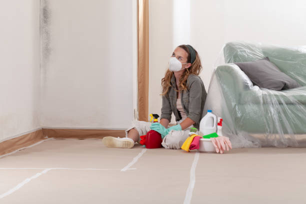 Reliable Black Mold Remediation contractor in Dayton, OR by Mold Remediation HQ